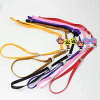 Candy dog collar pet traction rope dog Claw printing nylon rope dog collars cat dog harness Pet supplies Wholesale sales