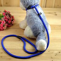 cat dog leash slip lead adjustableretractable solid red black blue cof ...