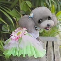 cat dog dress dog clothes cute fashion flower green blushing pink