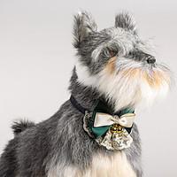 cat dog adjustable lace collar bowtie with bells