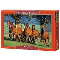 castorland quarter horses jigsaw 1500 piece