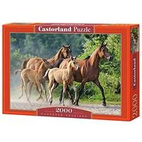 castorland purebred arabians jigsaw 2000 piece