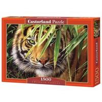 castorland emerald forest jigsaw 1500 piece