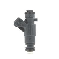 Cambiare Fuel Injector - VE523237