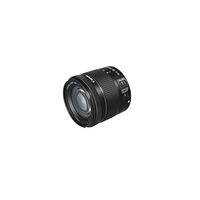 Canon EF-S 18 - 55 mm f/4-5.6 IS STM Lens for Camera - Black