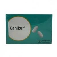 Canikur Tablets 4.4g 96 Chewable Tablets