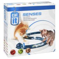 Cat It Design Senses Play Circuit