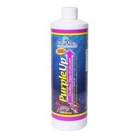 Caribsea Purple Up 473ml 16oz.