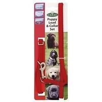 canac puppy lead collar set 10mmx35cm red pack of 3