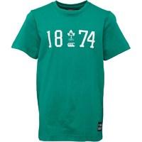 canterbury junior ireland established t shirt bosphorus