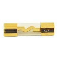 Car Automobile Gold Tone Clear 100A Glass Tube AGU Fuse (1pcs)