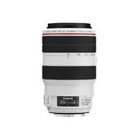 Canon EF 70-300mm f/4.0 - 5.6L IS USM Lens