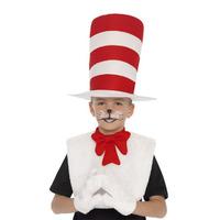 cat in the hat instant kit