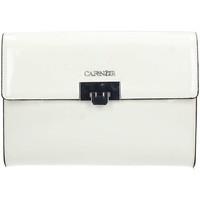 Cafã¨noir Bc102 Clutch women\'s Pouch in white