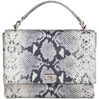 Cavalli Class C00PW16C21I2017_ROCCIA women\'s Bag in blue