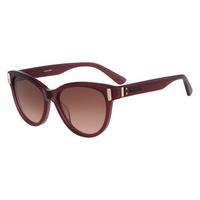 Calvin Klein Sunglasses CK8507S 507