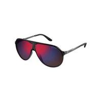 carrera sunglasses new championl lb0bj