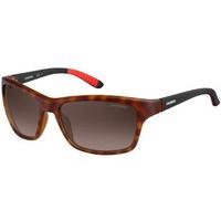 Carrera Sunglasses 8013/S Polarized 6XV/LA