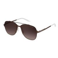 Carrera Sunglasses 114/S The Vivid Maverick FIR/J6