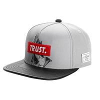 Cayler and Sons and Sons Trust Cap