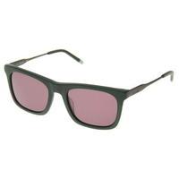 Calvin Klein CK4319 Sunglasses