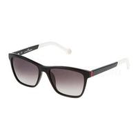 Carolina Herrera Sunglasses SHE646 700