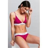 calvin klein modern cotton pink bikini knickers rose