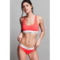 calvin klein modern cotton coral knickers coral