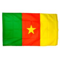 cameroon world cup flag