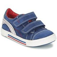 Catimini PERRUCHE boys\'s Children\'s Shoes (Trainers) in blue