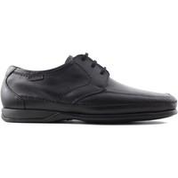 callaghan windsoft globe mens casual shoes in black