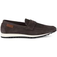 caf noir cafe noir pantofola in velour mens loafers casual shoes in mu ...