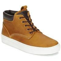 Casual Attitude IZNA men\'s Shoes (High-top Trainers) in yellow