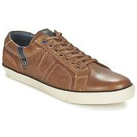 Casual Attitude PETERBALDI men\'s Shoes (Trainers) in brown