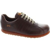 Camper Petolas Ariel men\'s Shoes (Trainers) in brown