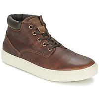 Casual Attitude AJINULE men\'s Shoes (High-top Trainers) in brown