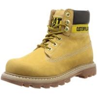 CAT Colorado Women honey