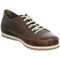 camel point 11 mens shoes trainers in brown