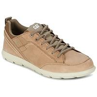 Caterpillar BECKETT men\'s Shoes (Trainers) in brown