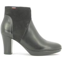 CallagHan 98733 Women women\'s Low Ankle Boots in black