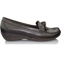 callaghan ave abu w womens loafers casual shoes in brown