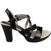 callaghan fenix comfortable heel womens sandals in black