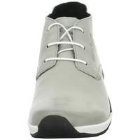 Camel Moonlight 73 women\'s Low Ankle Boots in Grey