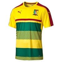 cameroon training jersey yellow green green