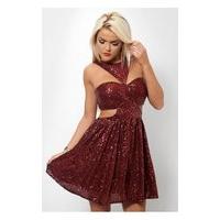 Caisy Burgundy Sequin Skater Dress