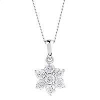 canadian diamond collection 9ct white gold flowers cluster diamond pen ...