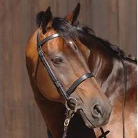 caldene plain snaffle bridle and reins