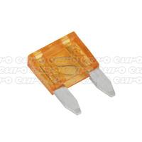 CC59 Single Loop Detail Brush