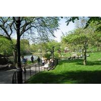 Central Park and Upper East Side Walking Tour