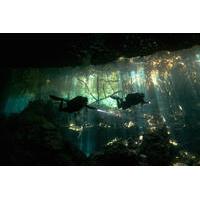 Cenotes and Caverns 2-Tank Dive Tour